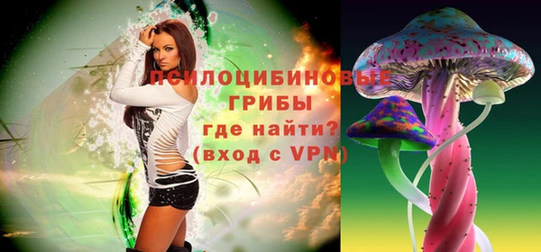 кокс Алексин