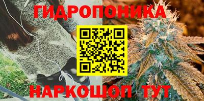 мдпв Краснодар