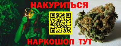 стафф Краснознаменск
