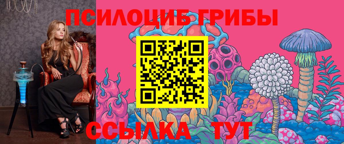 Мыски  Псилоцибиновые грибы Cubensis  Вход с VPN 