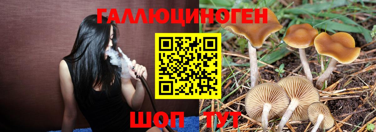 Галлюциногенные грибы мухоморы Мыски